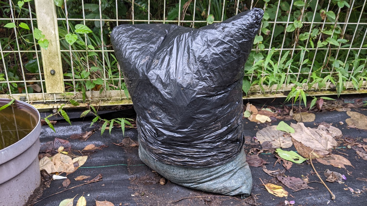 9月3日に仕込んだ