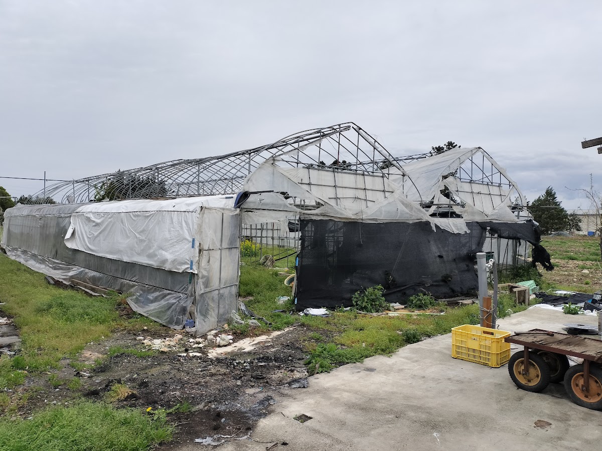 相続したビニールハウス